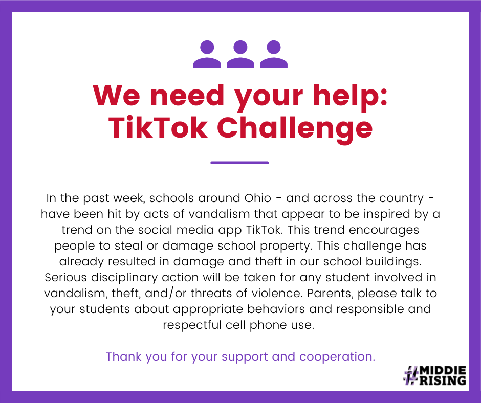 We need your help: TikTok Challenge statement